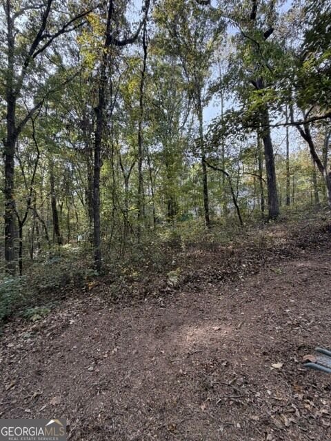 321 Miles Rd Carrollton - Photo 22