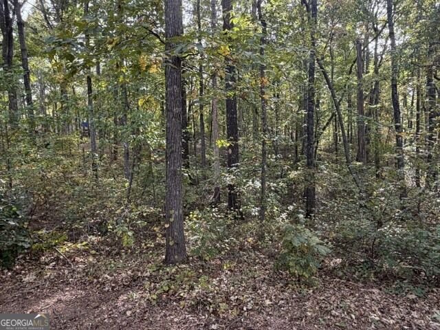 321 Miles Rd Carrollton - Photo 30