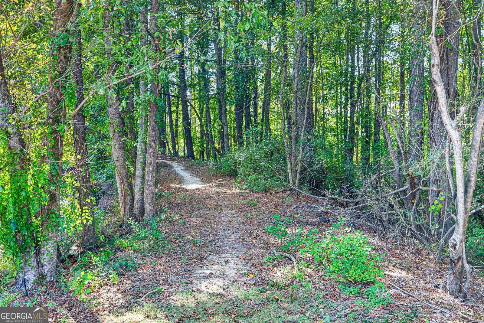 3152 Brockenhurst Drive Buford - Photo 49