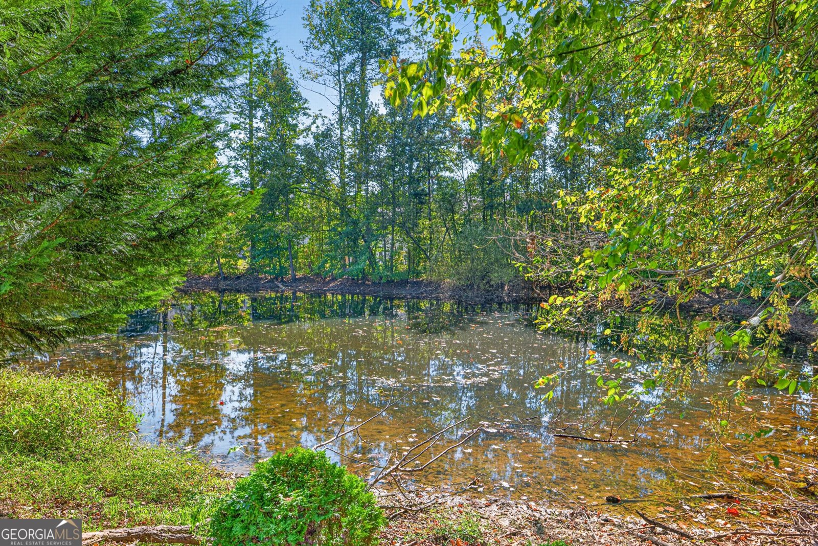 3152 Brockenhurst Drive Buford - Photo 50