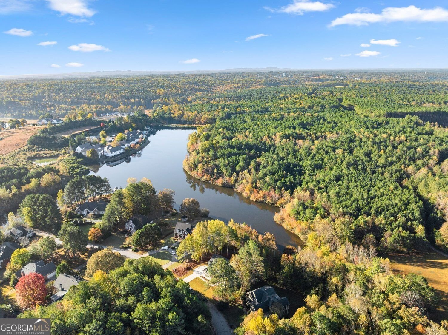 148 Gold Leaf Terrace Dawsonville - Photo 35