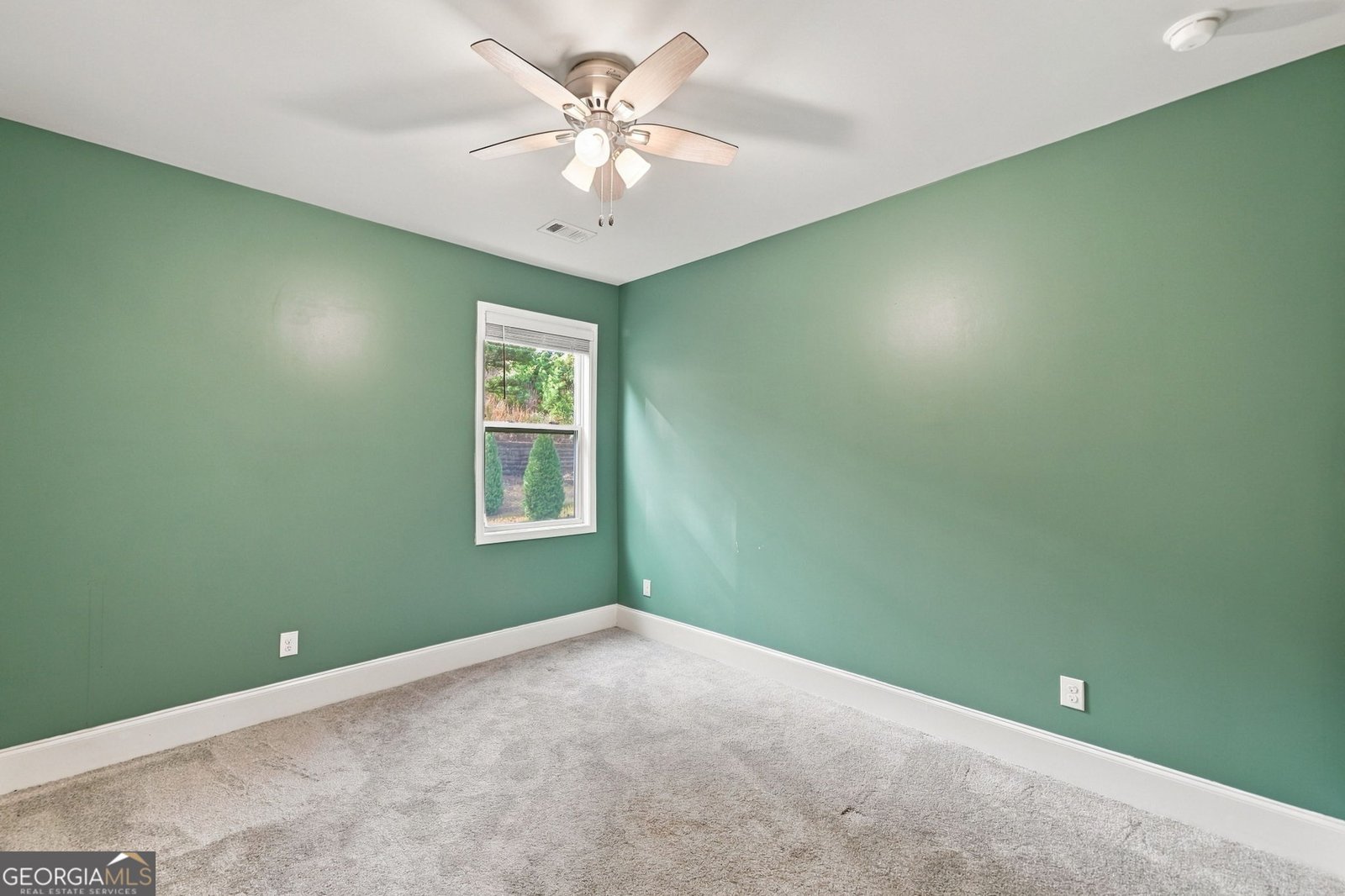 523 Blue Mountain Rise Canton - Photo 20