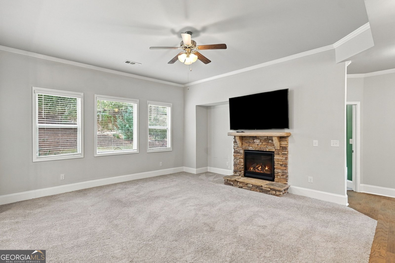 523 Blue Mountain Rise Canton - Photo 24