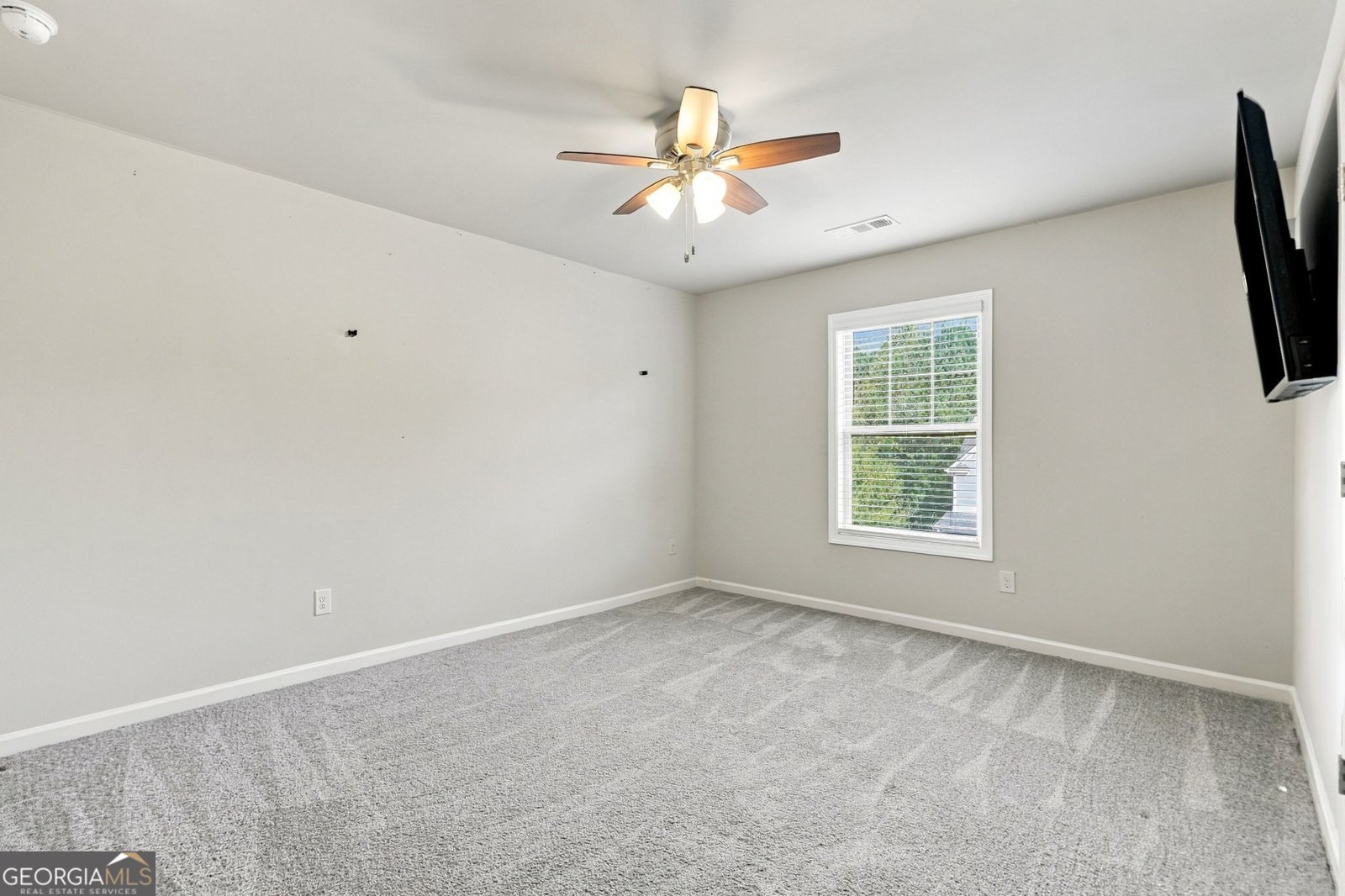 523 Blue Mountain Rise Canton - Photo 38