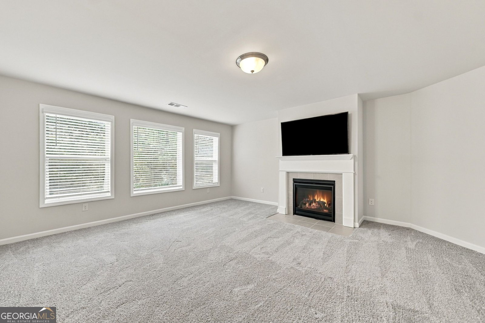 523 Blue Mountain Rise Canton - Photo 49