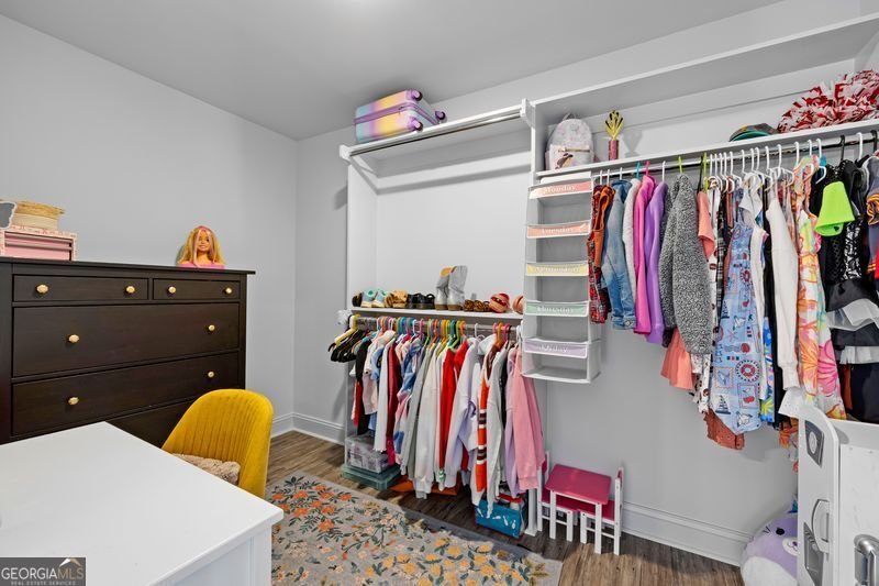305 Werner Way Senoia - Photo 46