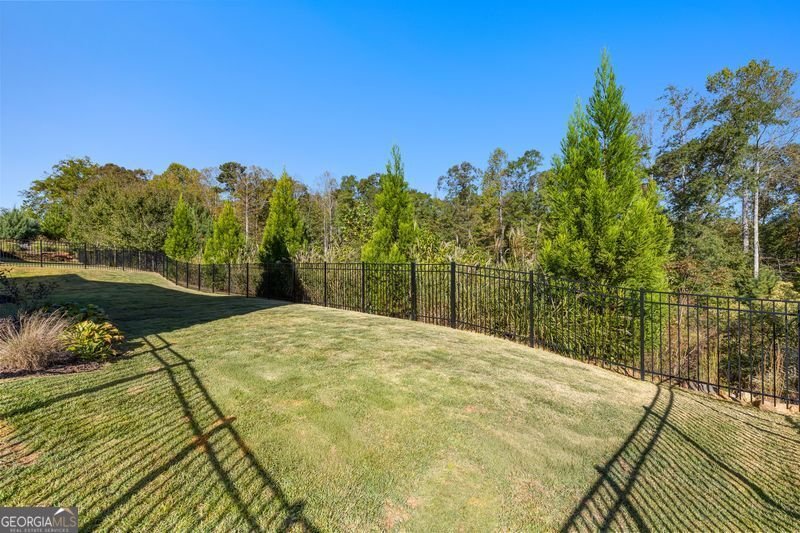 305 Werner Way Senoia - Photo 65
