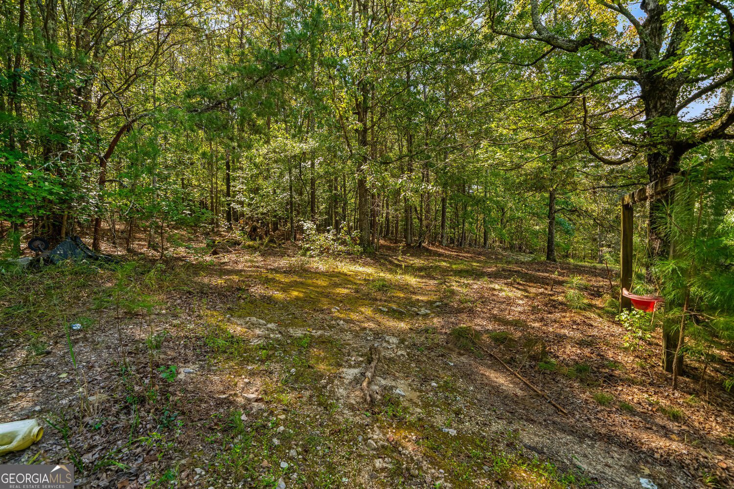 3249 Wax Road Aragon - Photo 16