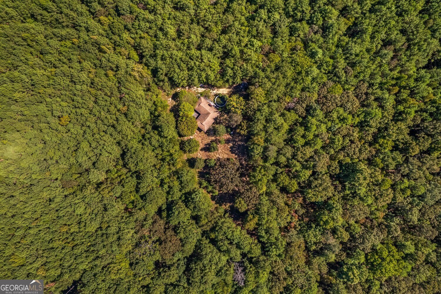 3249 Wax Road Aragon - Photo 20