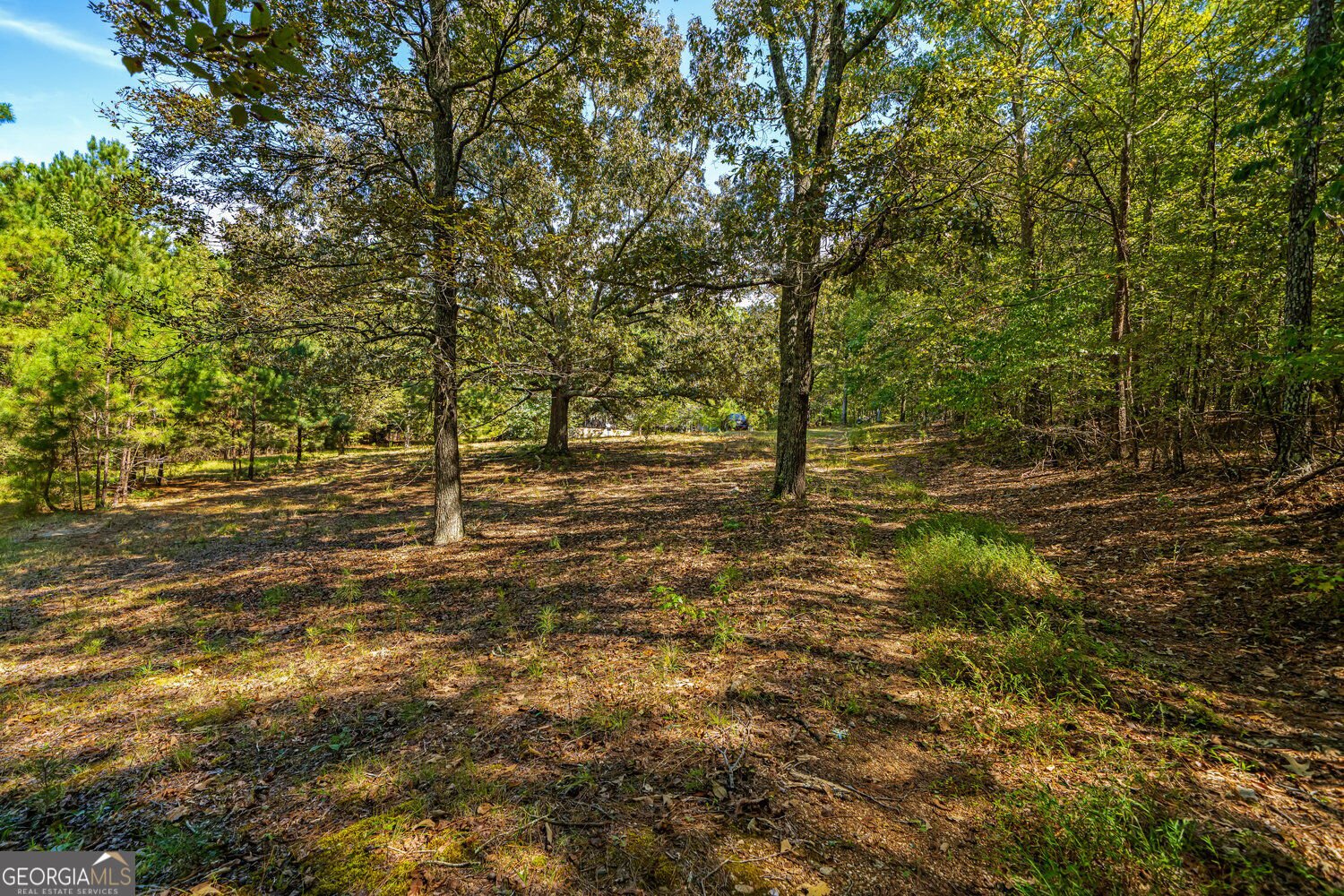 3249 Wax Road Aragon - Photo 6