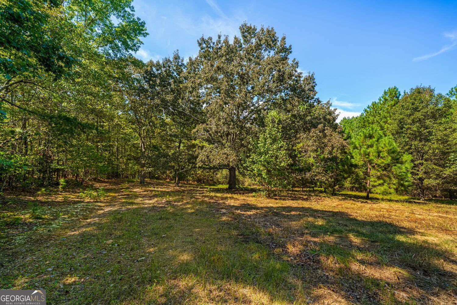 3249 Wax Road Aragon - Photo 9