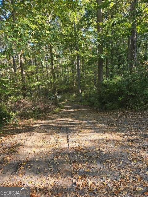 415 Bagwell Road Dawsonville - Photo 15