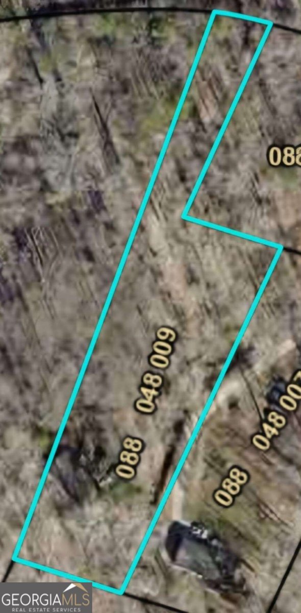 415 Bagwell Road Dawsonville - Photo 16