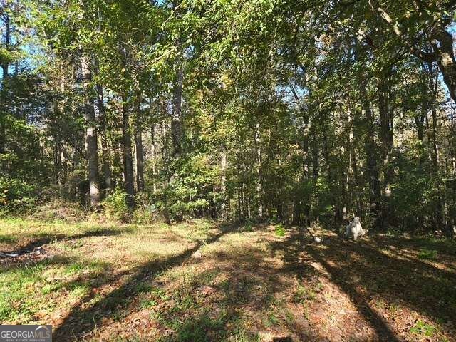 415 Bagwell Road Dawsonville - Photo 17