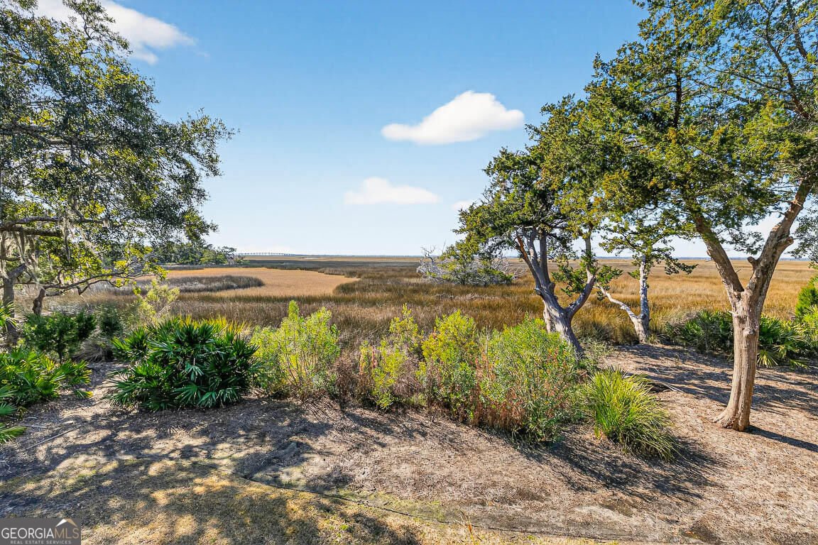 105 Hawkins Island Circle St. Simons Island - Photo 31