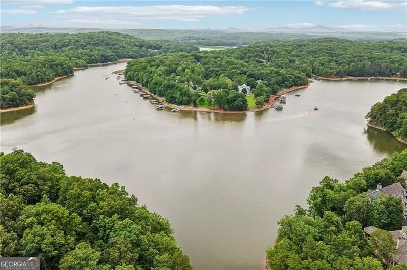 86 Cove Circle Dawsonville - Photo 10