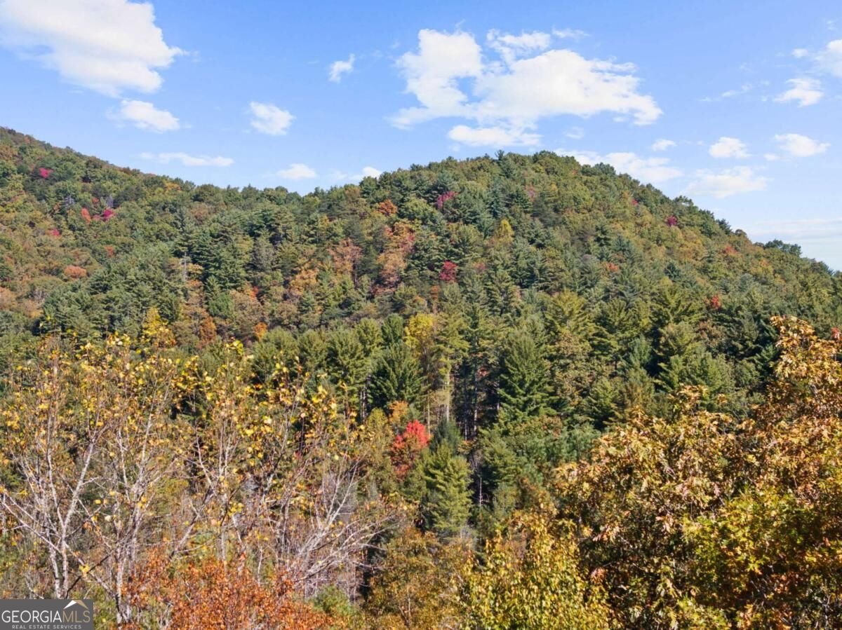 LOT 8 Butler Creek Road Cherry Log - Photo 22