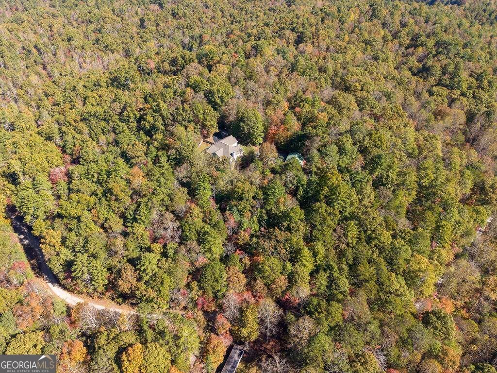 89 Parks Mountain Road Ellijay - Photo 43