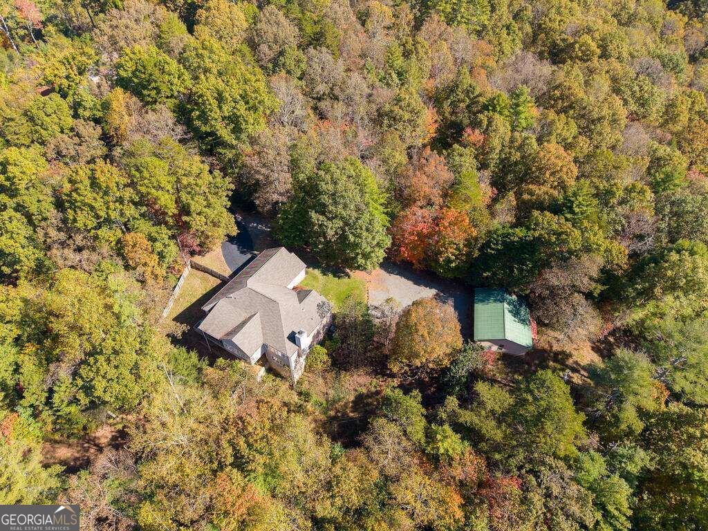 89 Parks Mountain Road Ellijay - Photo 44