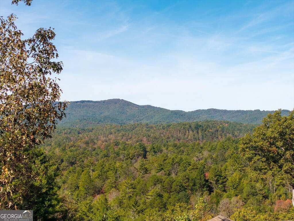 89 Parks Mountain Road Ellijay - Photo 47