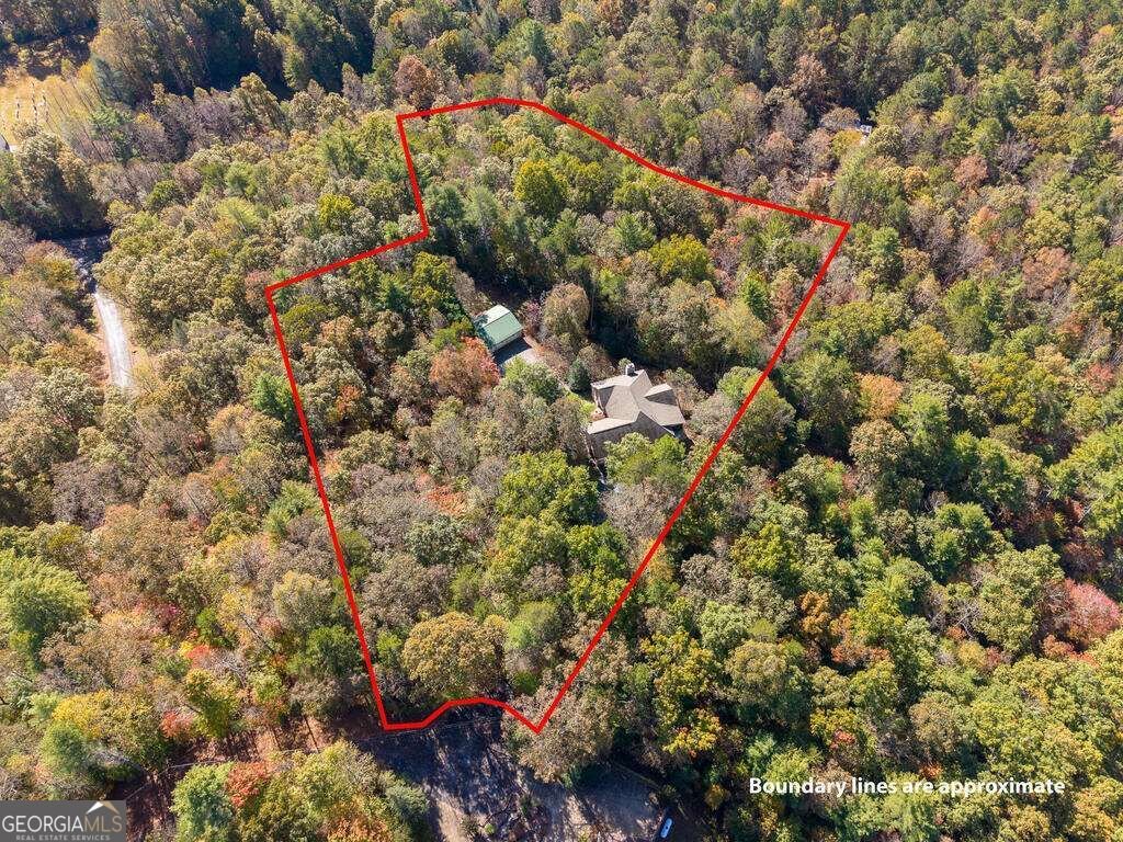 89 Parks Mountain Road Ellijay - Photo 48