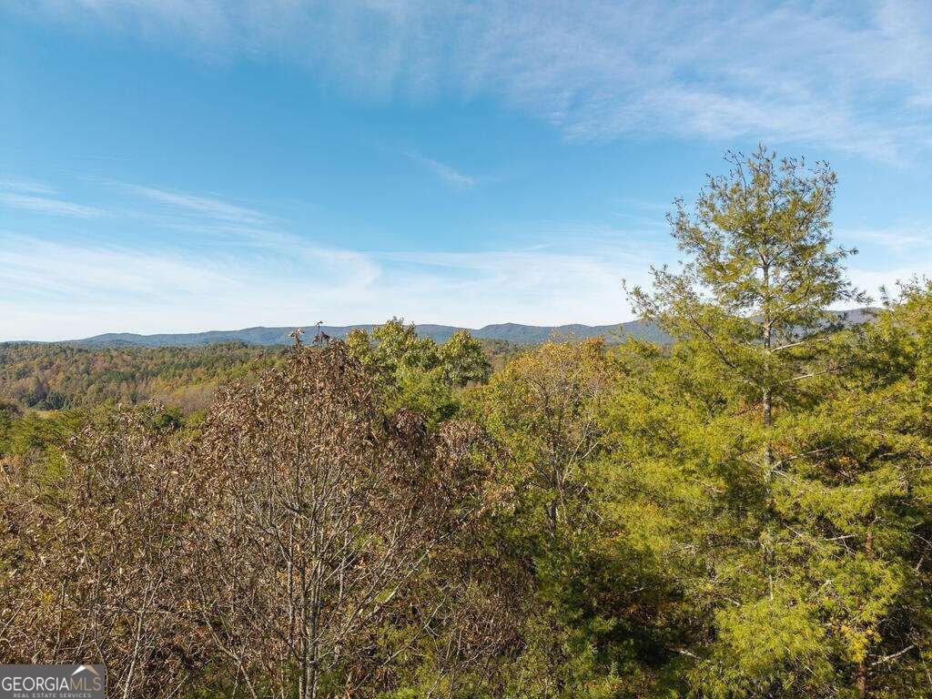 89 Parks Mountain Road Ellijay - Photo 50