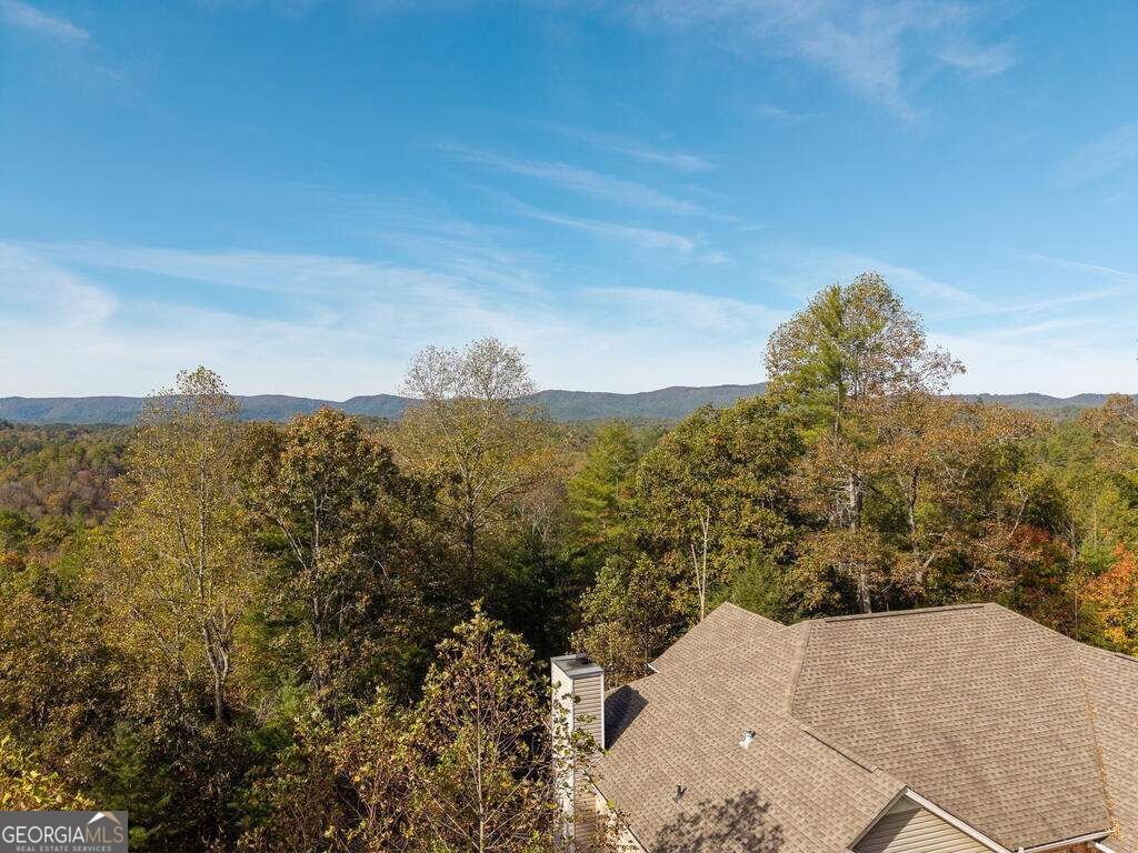 89 Parks Mountain Road Ellijay - Photo 51