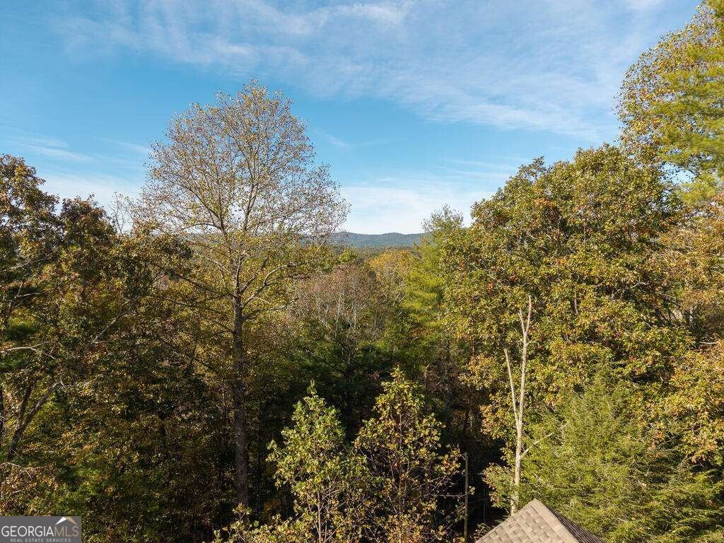 89 Parks Mountain Road Ellijay - Photo 52