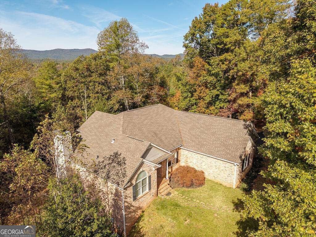 89 Parks Mountain Road Ellijay - Photo 55