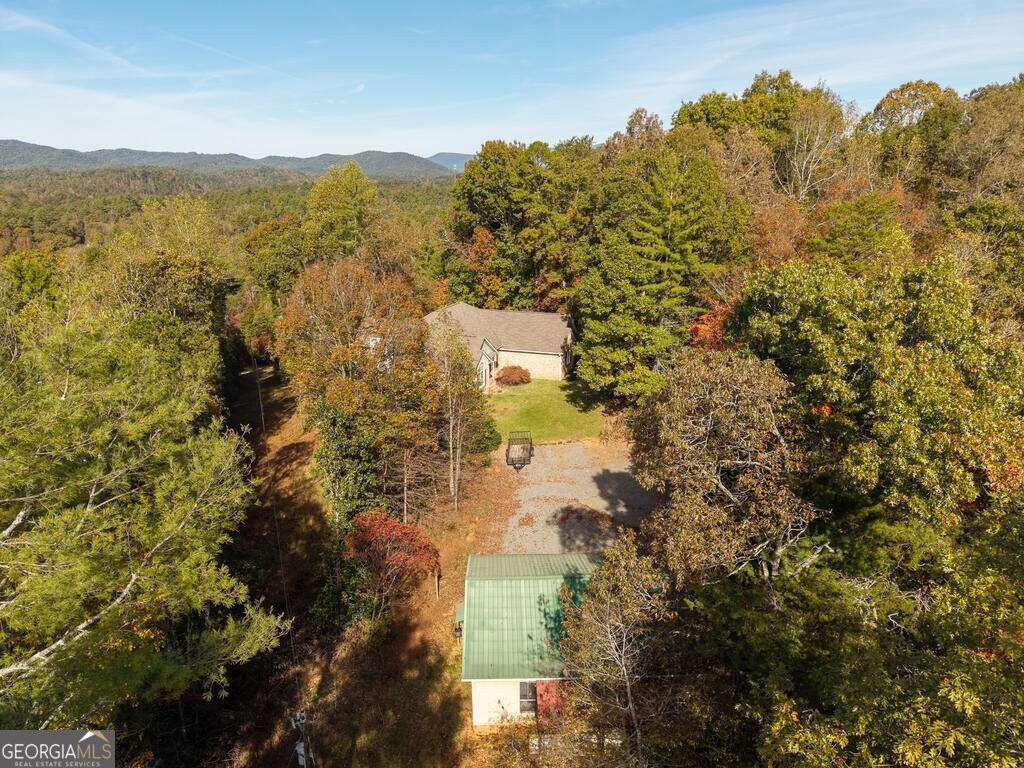 89 Parks Mountain Road Ellijay - Photo 60