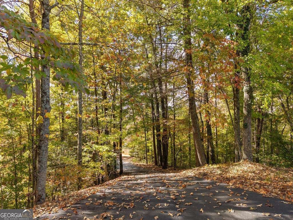 89 Parks Mountain Road Ellijay - Photo 62