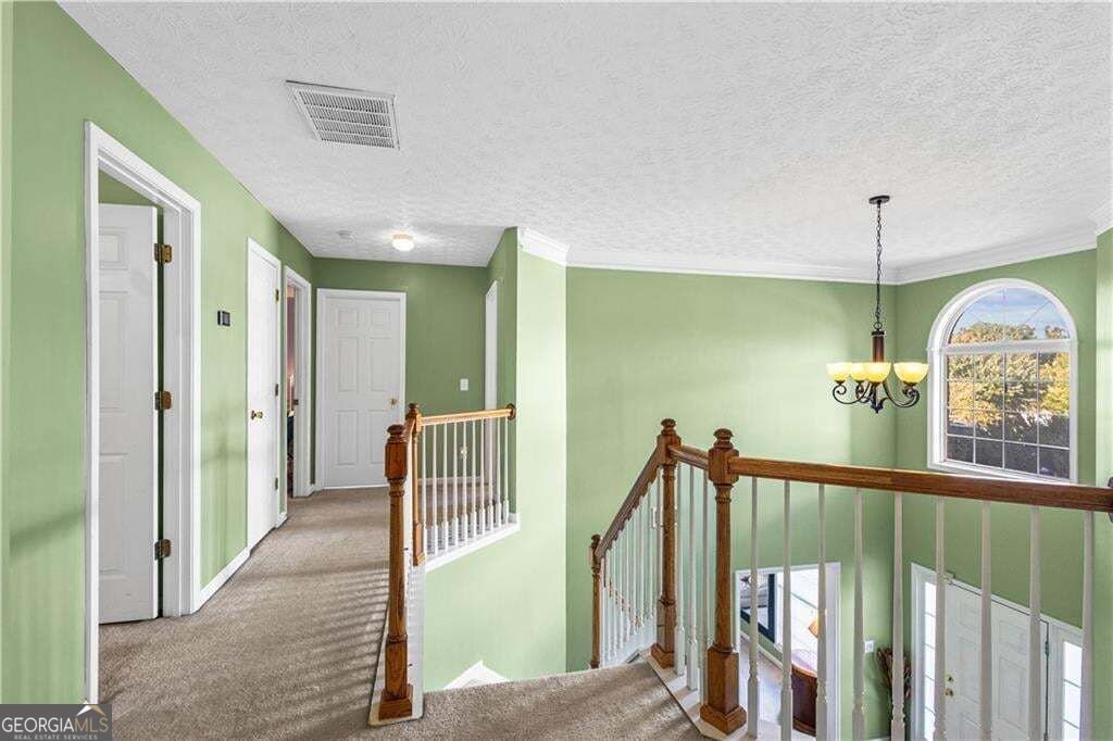 4527 Abram way Conley - Photo 46
