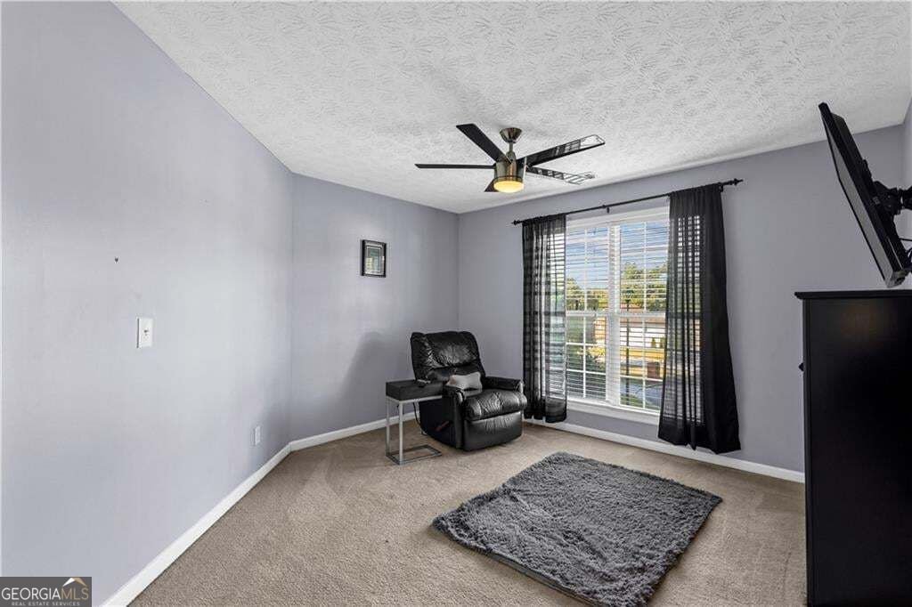 4527 Abram way Conley - Photo 63