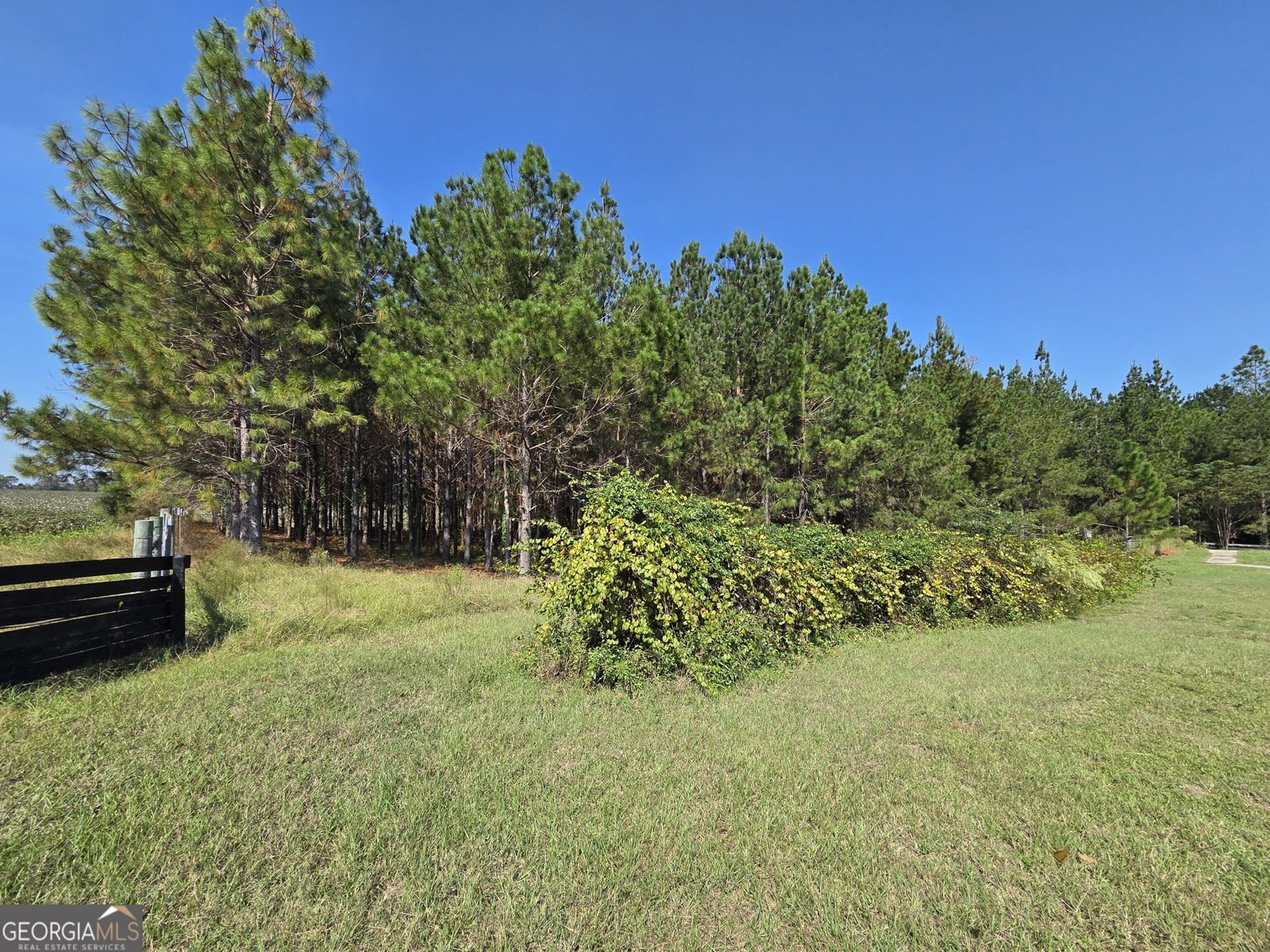 31122 Us Highway 80 Twin City - Photo 45