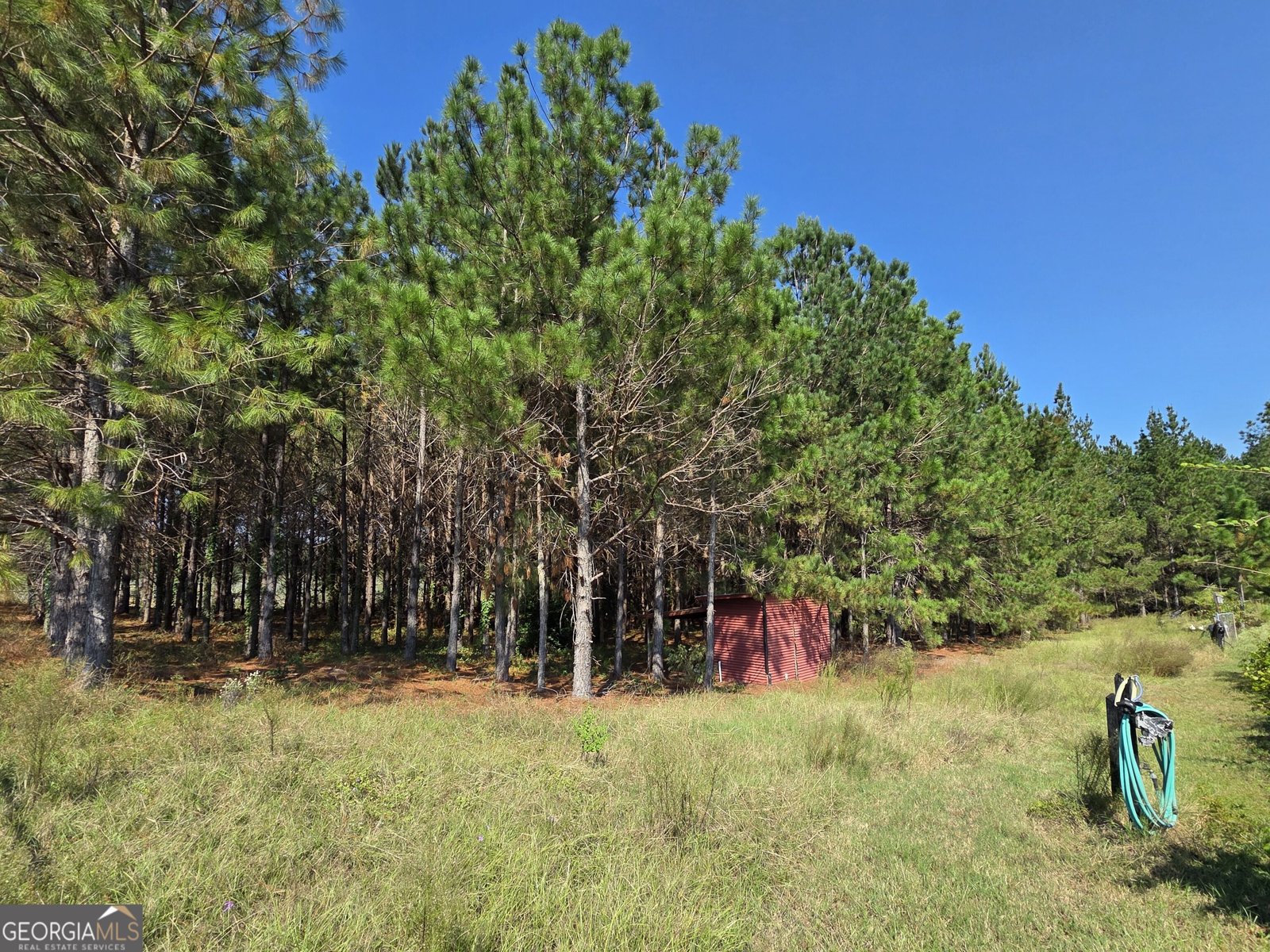 31122 Us Highway 80 Twin City - Photo 59