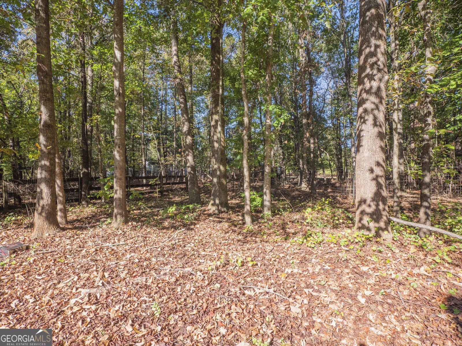 34 Palmer Court Jefferson - Photo 35