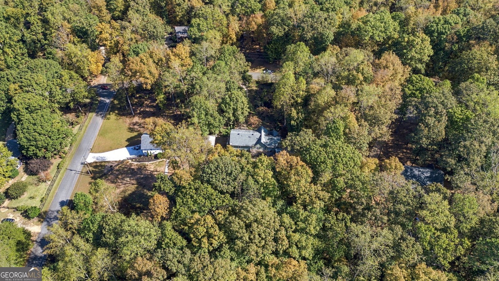 605 Hickory Creek Lane Woodstock - Photo 11