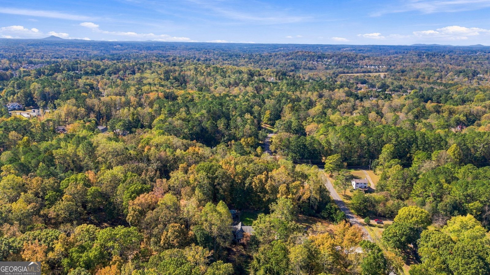 605 Hickory Creek Lane Woodstock - Photo 12