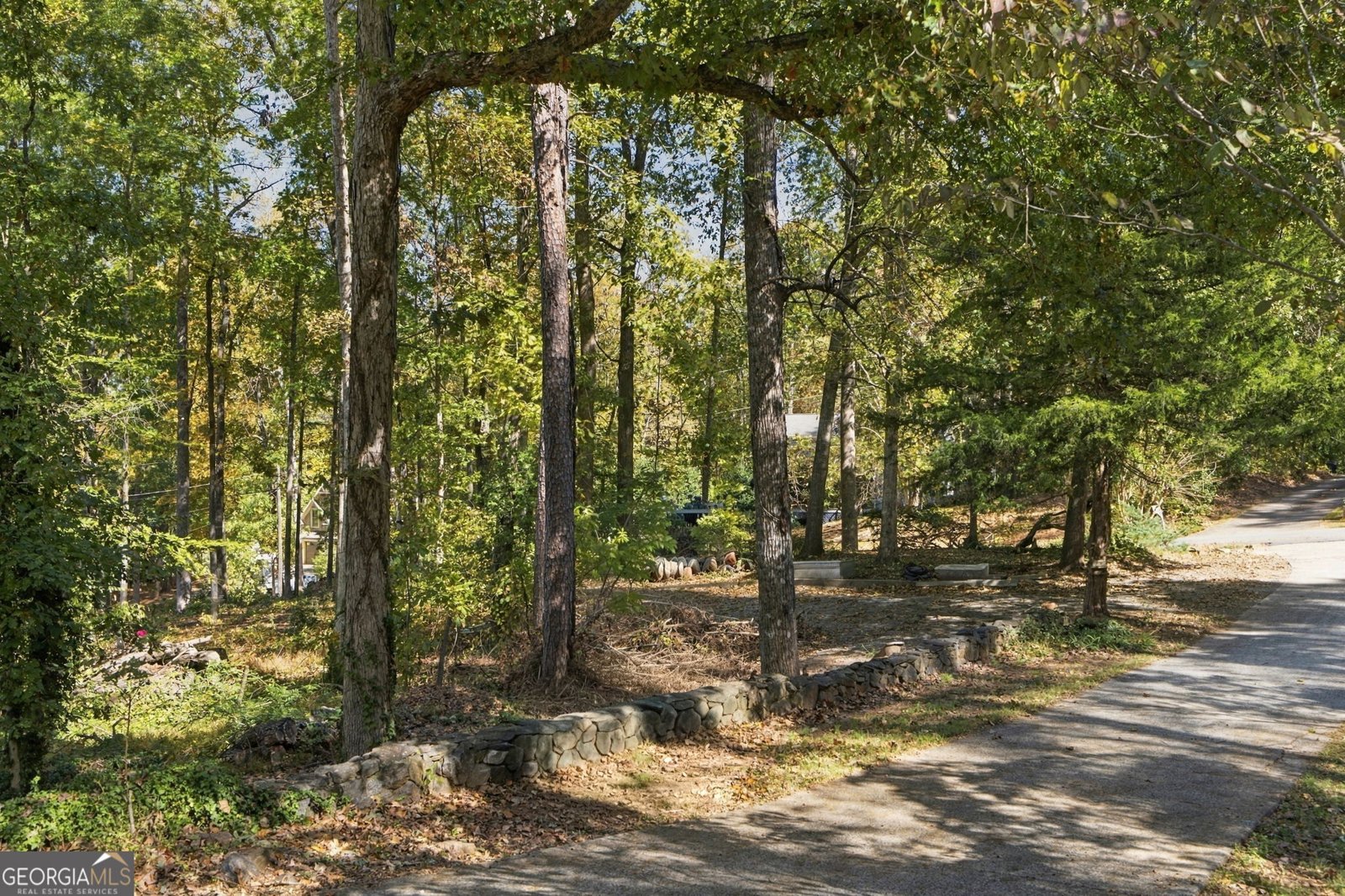 605 Hickory Creek Lane Woodstock - Photo 54
