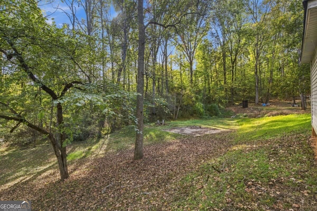 4227 Old Dahlonega Highway Dahlonega - Photo 42