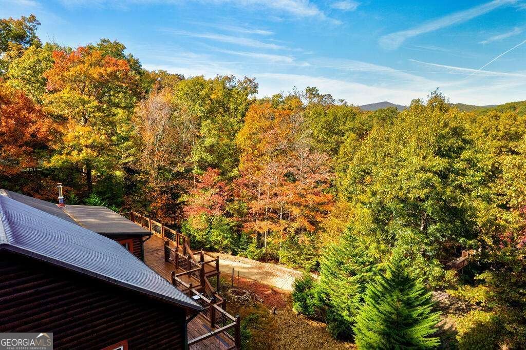 19 The Forest Road Blue Ridge - Photo 26
