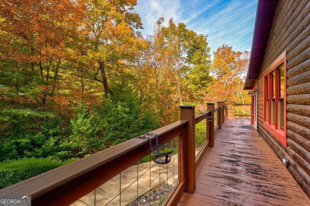 19 The Forest Road Blue Ridge - Photo 31