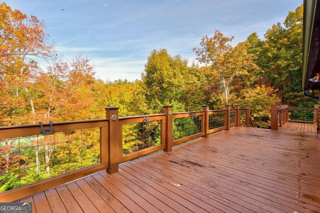 19 The Forest Road Blue Ridge - Photo 34