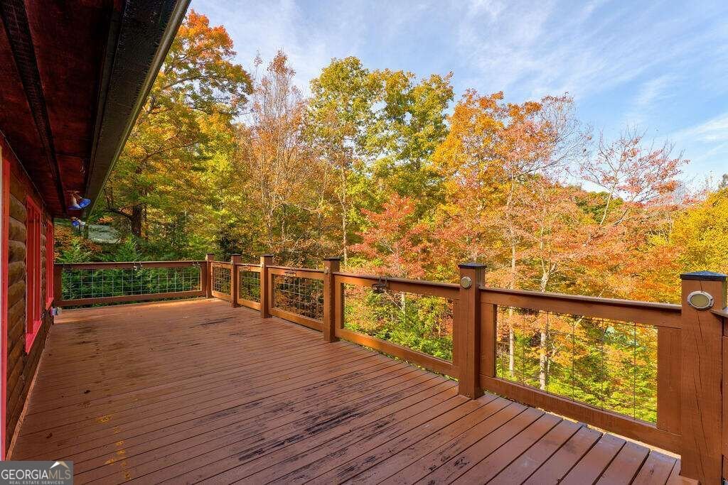 19 The Forest Road Blue Ridge - Photo 35