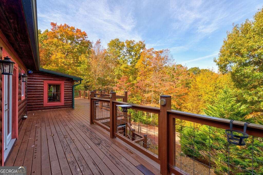 19 The Forest Road Blue Ridge - Photo 36