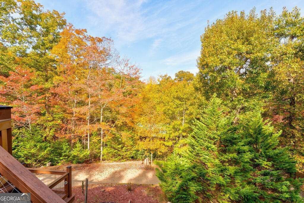 19 The Forest Road Blue Ridge - Photo 37