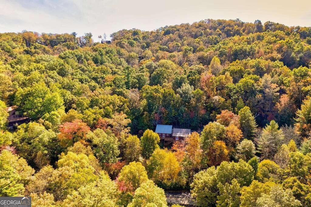 19 The Forest Road Blue Ridge - Photo 42