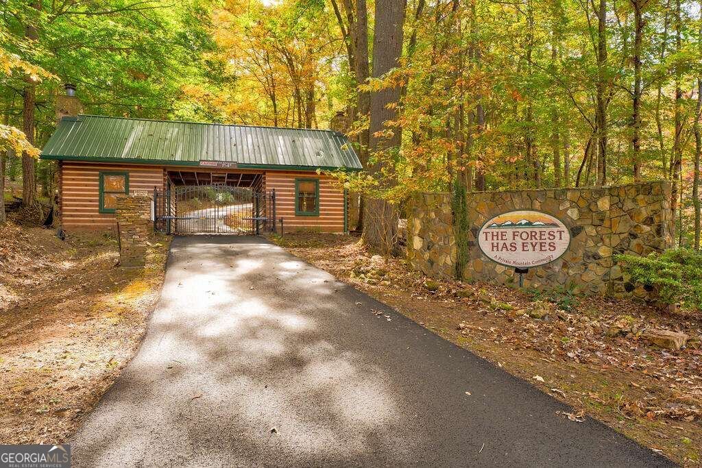 19 The Forest Road Blue Ridge - Photo 44