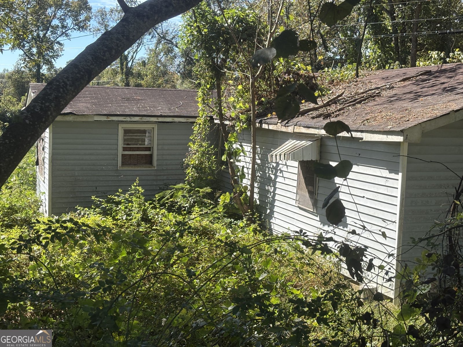 310 Pine Circle Bowdon - Photo 7