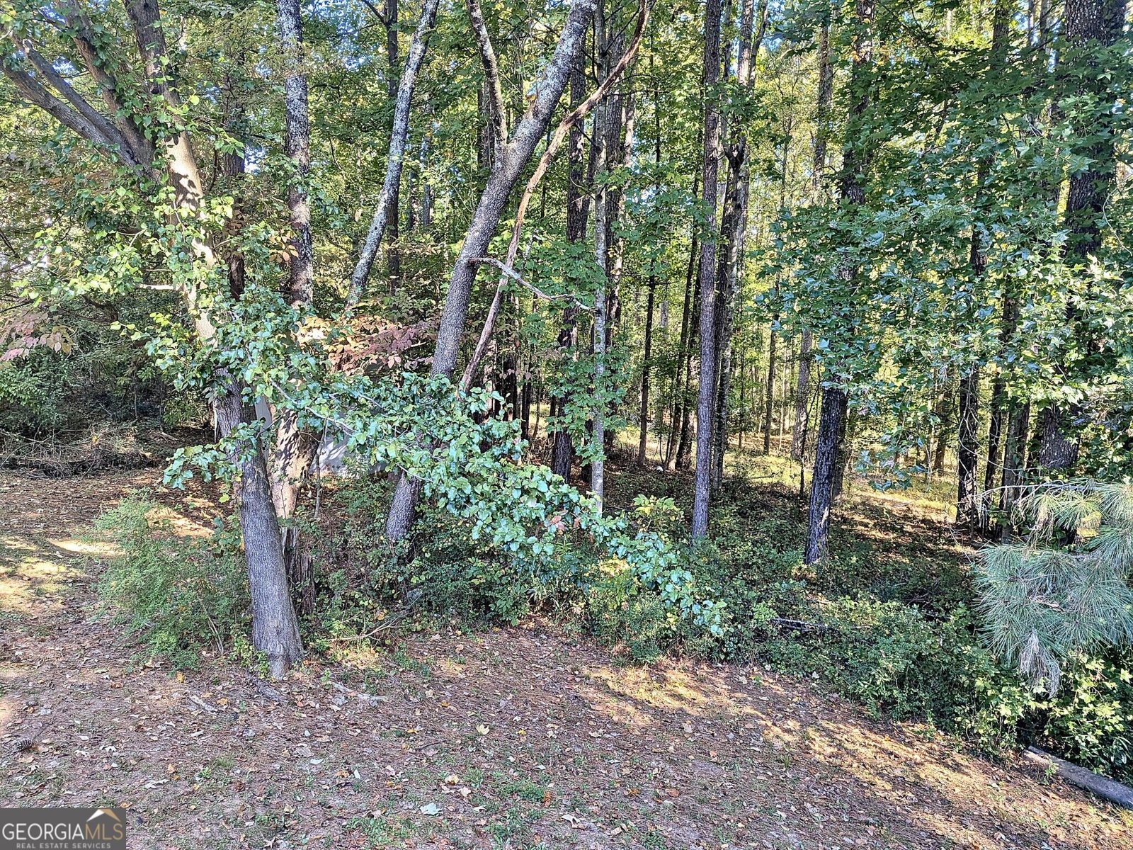 4007 Heritage Valley Court Norcross - Photo 32